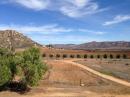 The vineyard next door, the Guadalupe Valley is now a 'wine country.'