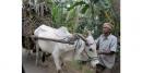 Method of Crop Harvest Delivery in Area